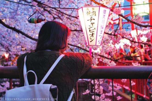 Night Sakura in Japan