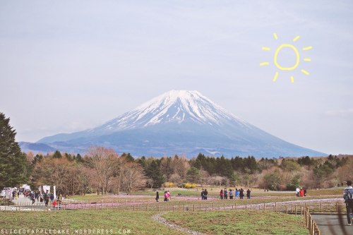 Mount Fuji Shibazakura
